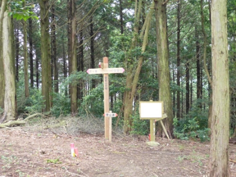 画像12